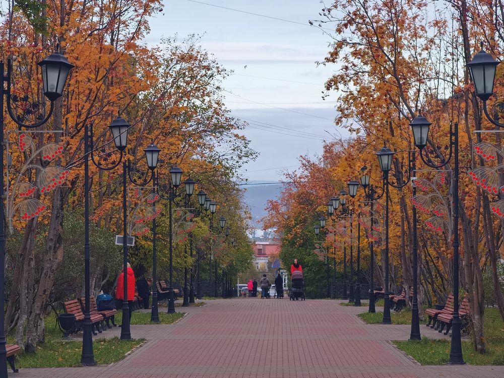 Рябиновая аллея