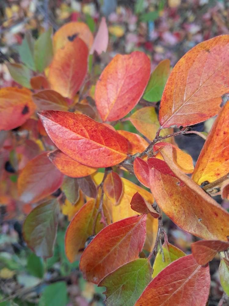 Photograph by Виталий