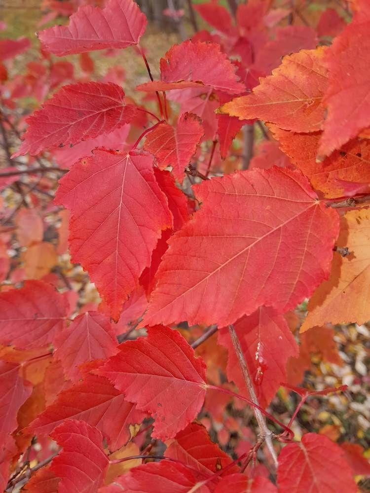 Photograph by Виталий