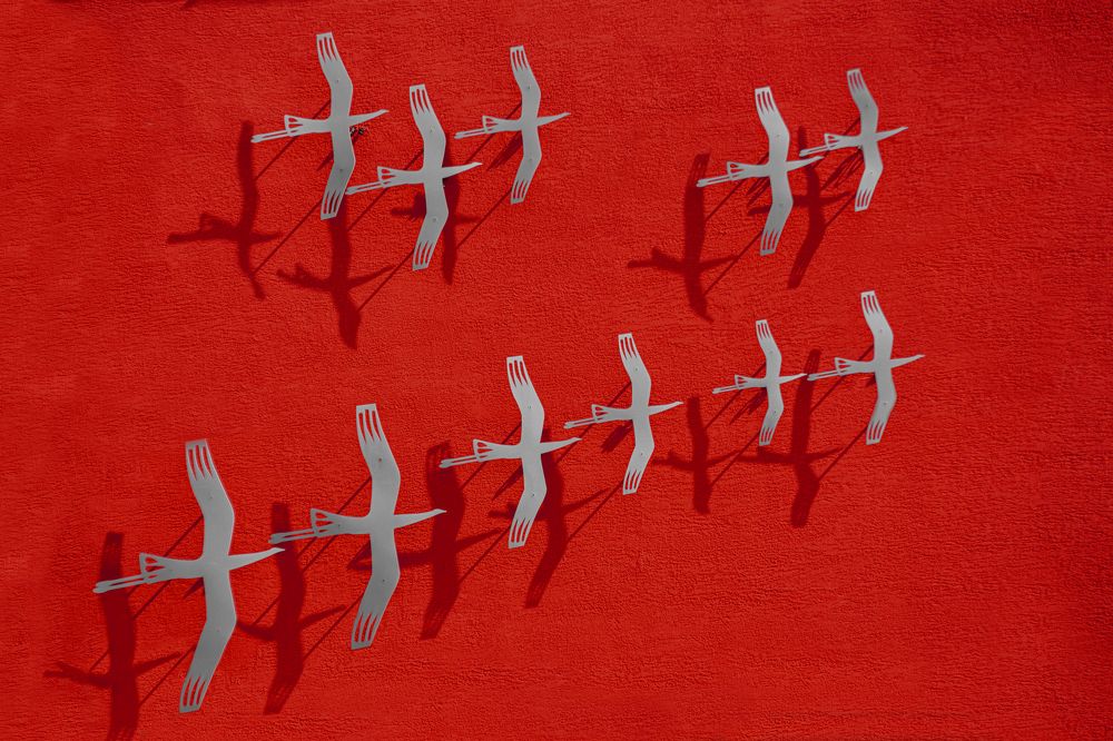 Летят журавли