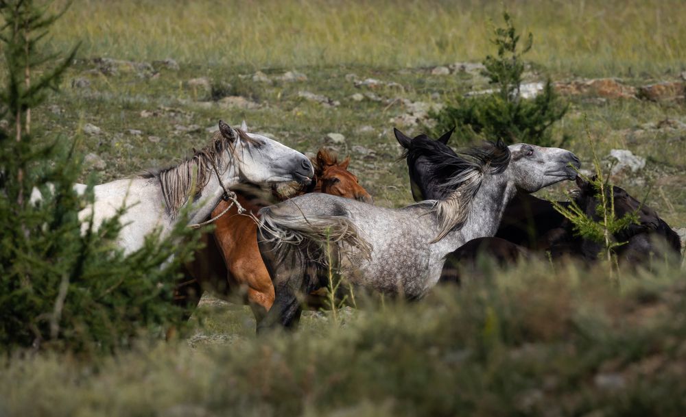 Фотография автора Ольга