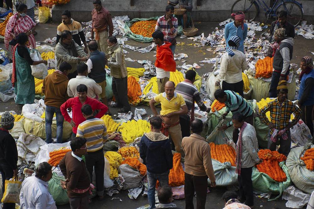 Фотография автора Nilanjan Saha