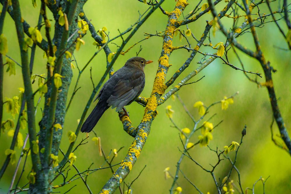Photograph by Valdis Serzhans