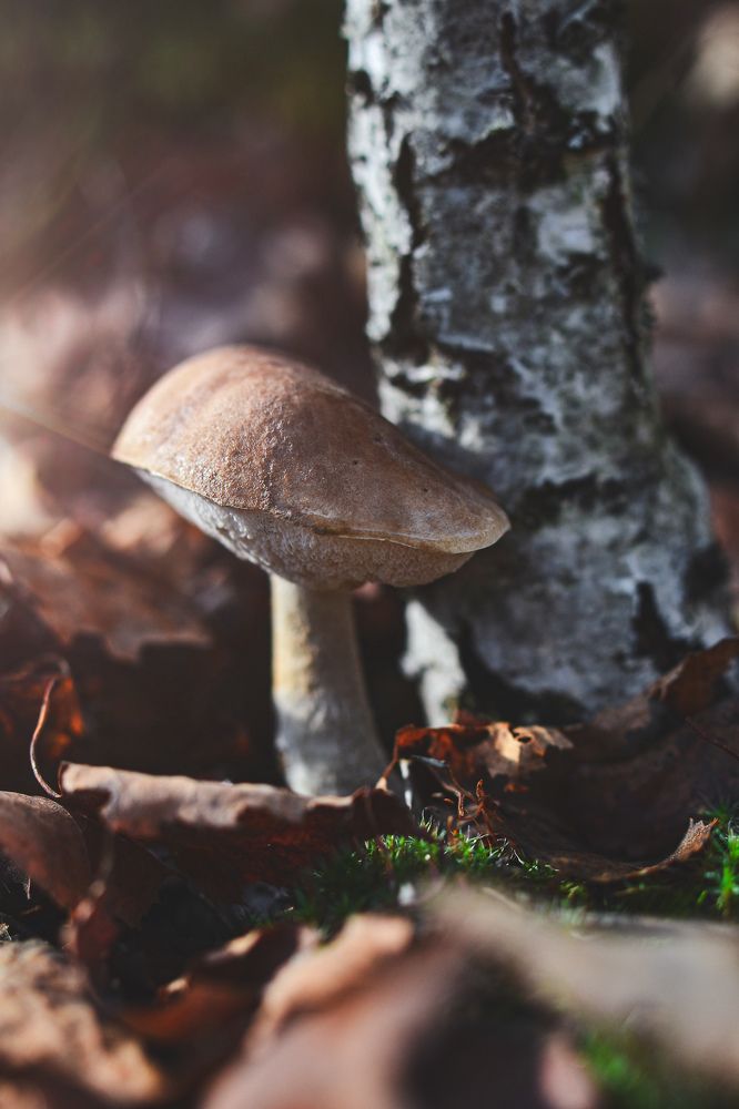 Photograph by María Gromiko