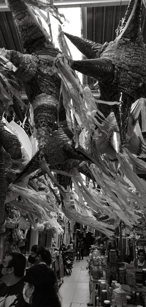 Photograph by Ivan Avitia