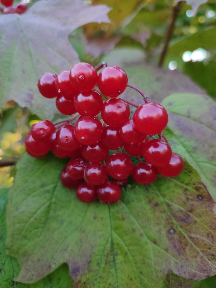 Photograph by Виктор Бута