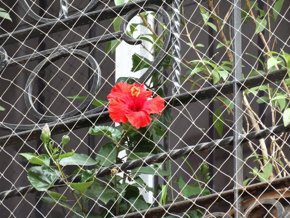 Photograph by Виктор Бута