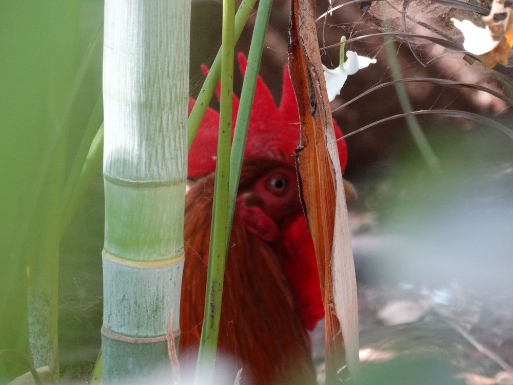 Photograph by Виктор Бута