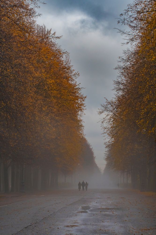 Photograph by Sveta_Poln