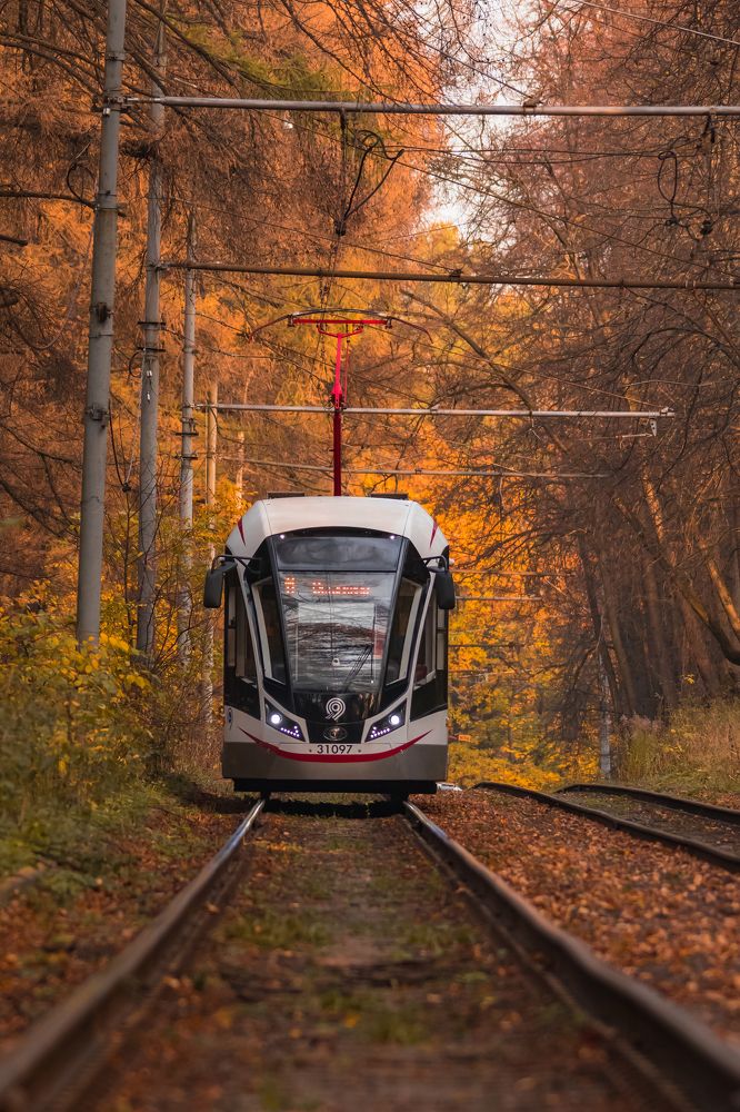 Photograph by Sveta_Poln