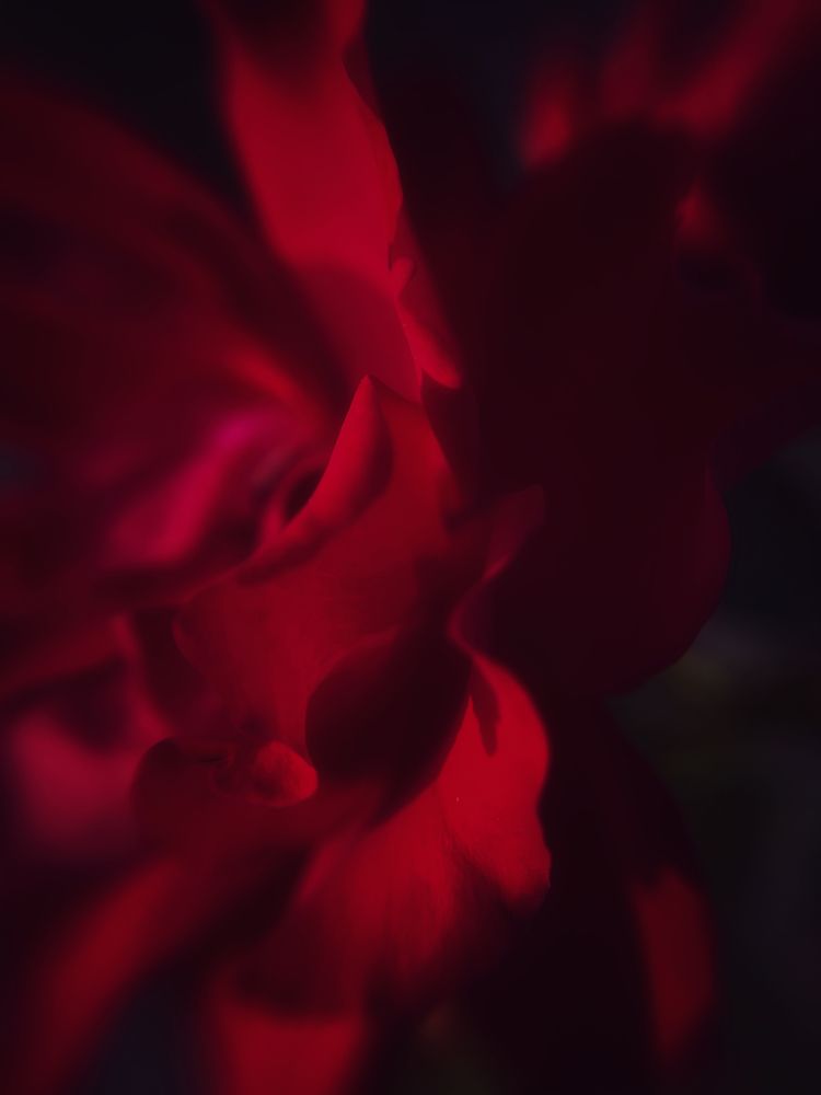 Photograph by Оксана Корепанова