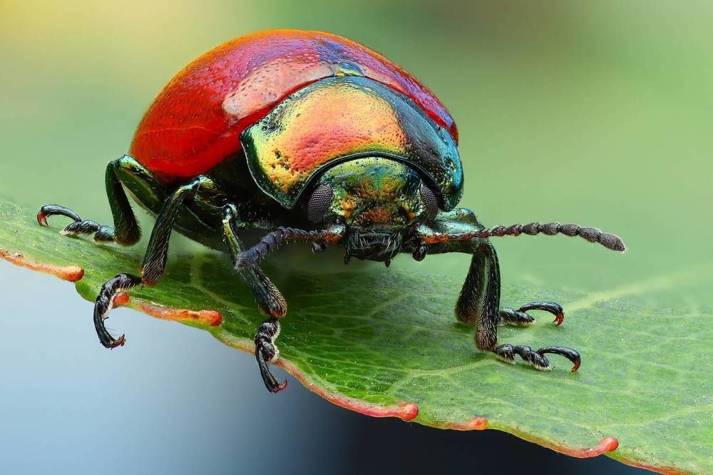 Фотография автора Андрей Шаповалов