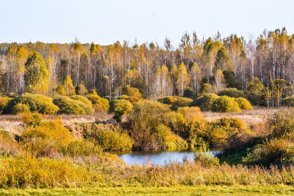 Photograph by Анастасия Гурова
