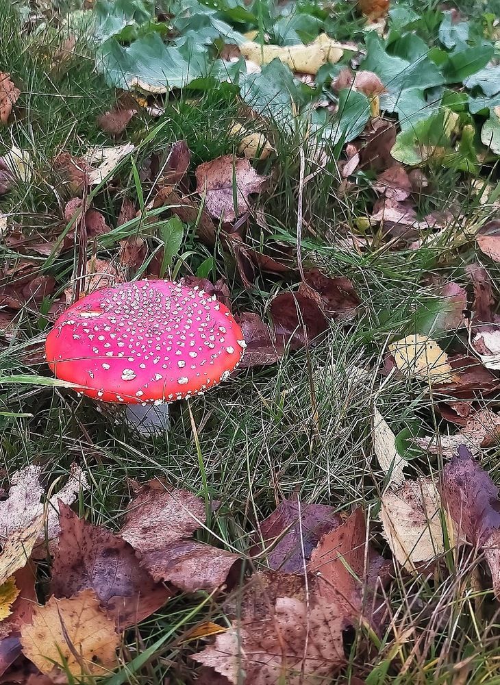 Photograph by Лилия Нурова