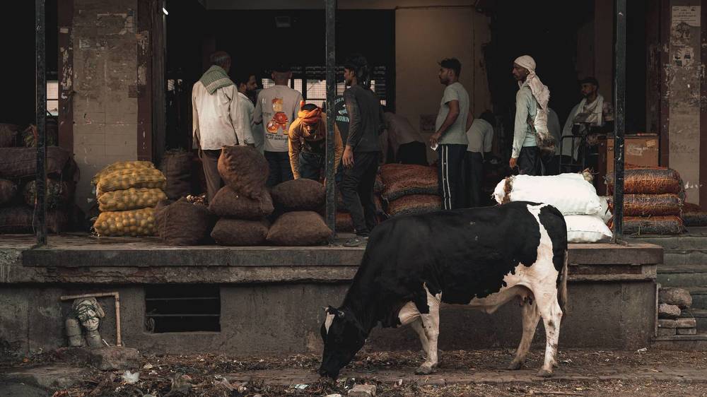 Фотография автора Anuj Medhavi