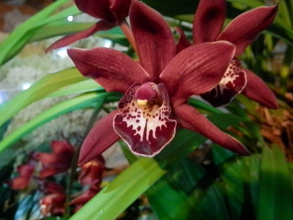 Photograph by Георгий Салюков