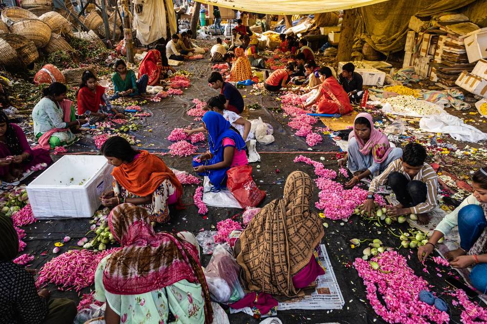 Фотография автора Anuj Medhavi