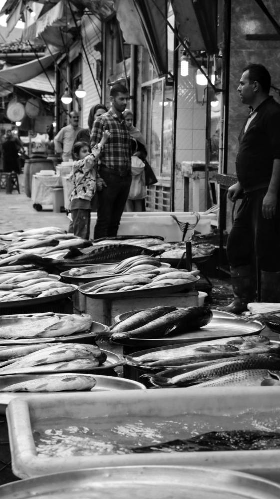 Photograph by Amir Hosein Shokrabadi