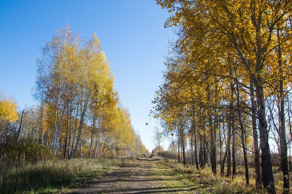 Photograph by Евгения Антропова