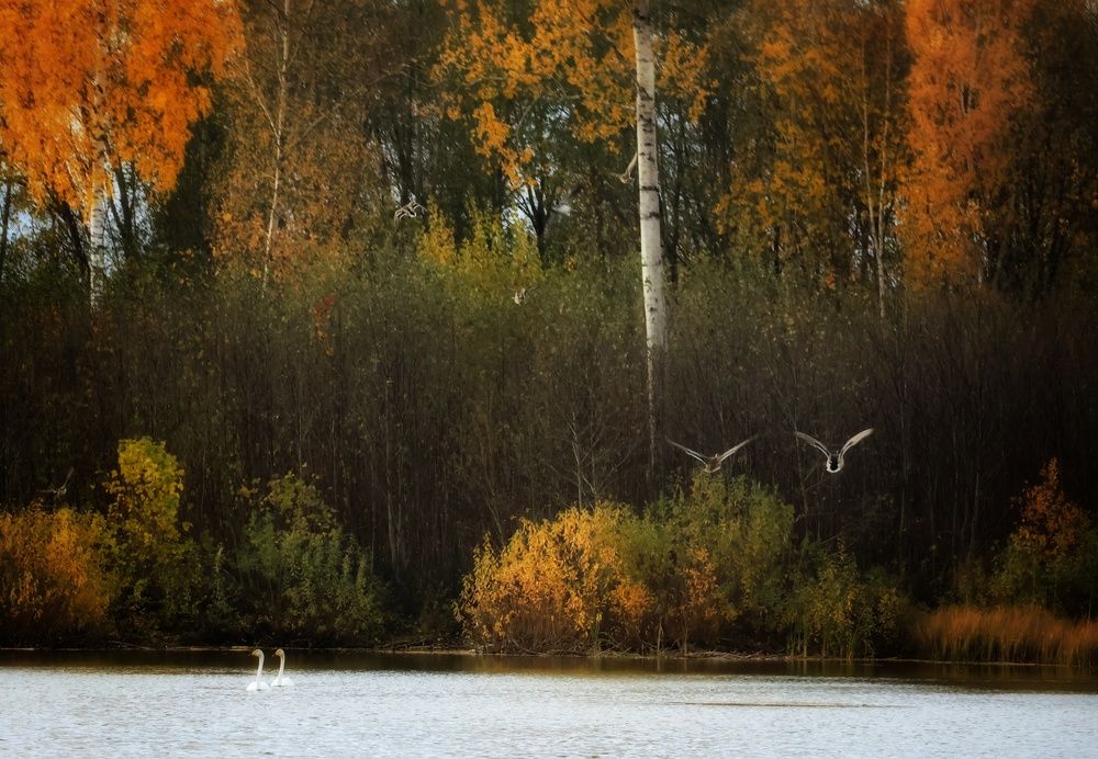 Две парочки