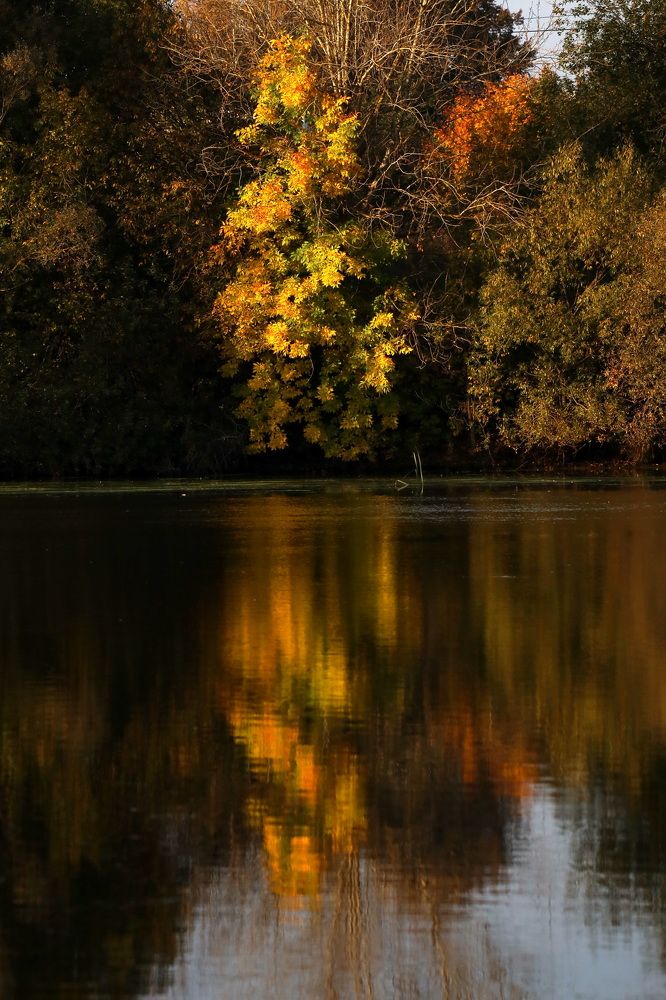 Фотография автора Колосова Елена