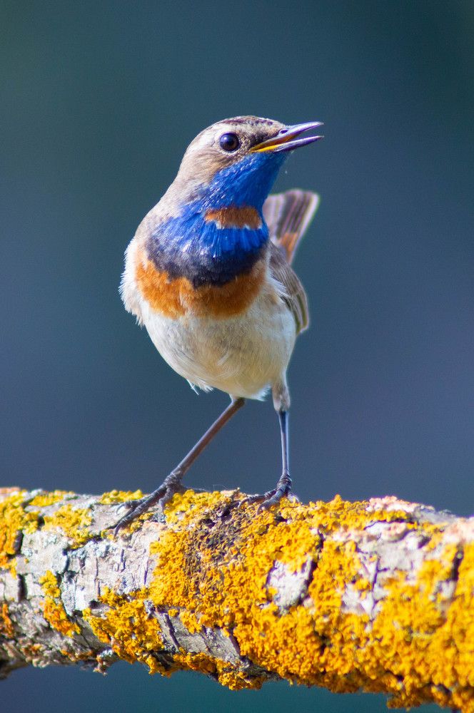 Photograph by Александр Анисенков