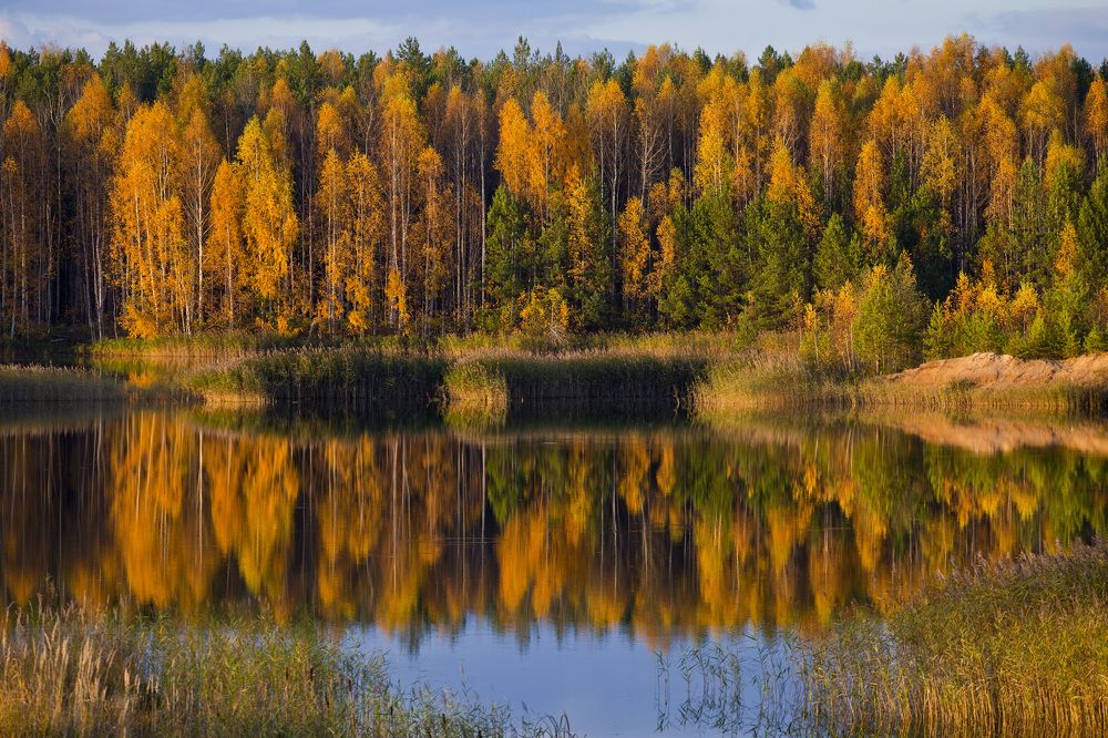 Photograph by PERESHEIN ANDREY