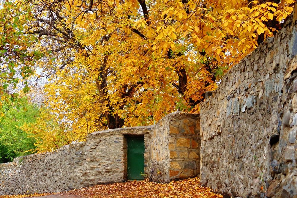 Photograph by Amir Hosein Shokrabadi