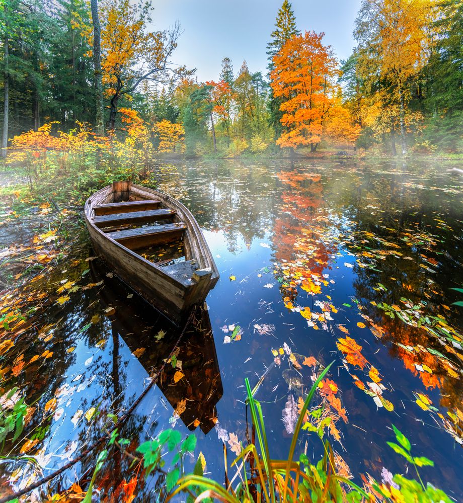 Photograph by Гордеев Эдуард