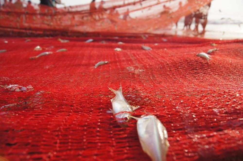 Photograph by Светлана Стрельцова