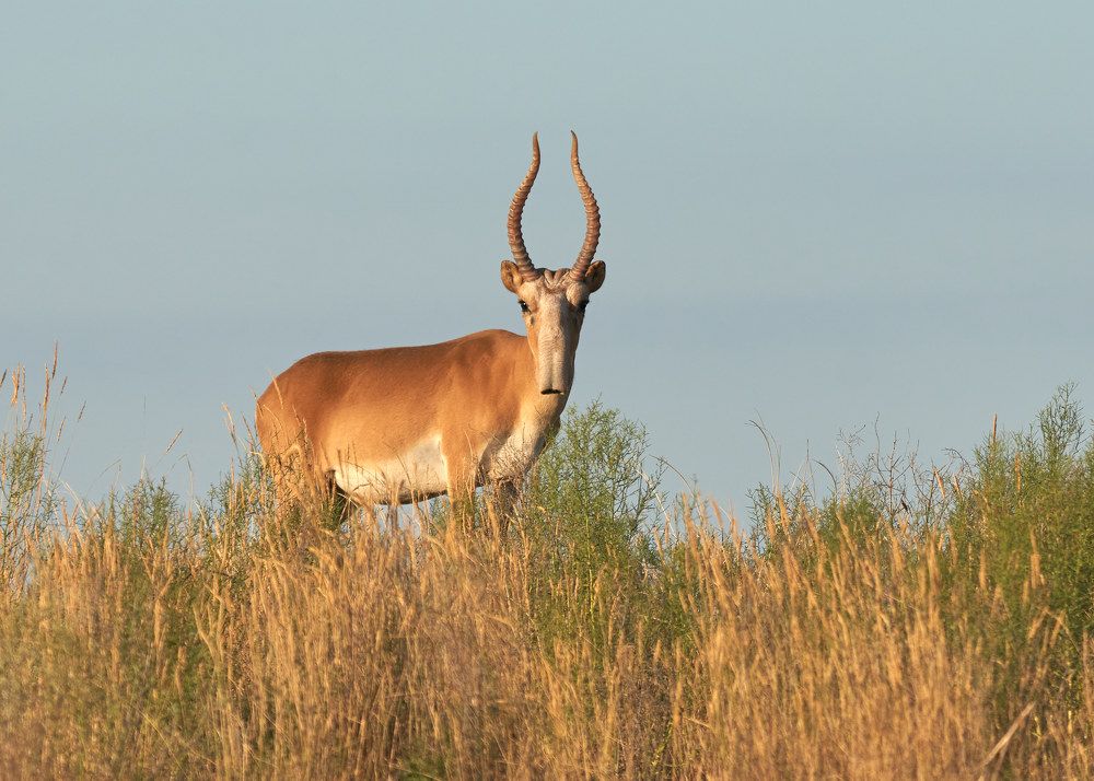 Photograph by Victor Krachkovsky