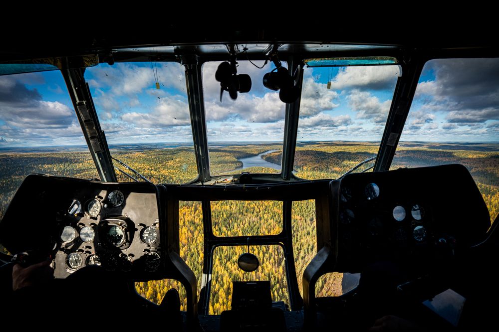 Осень за окном.