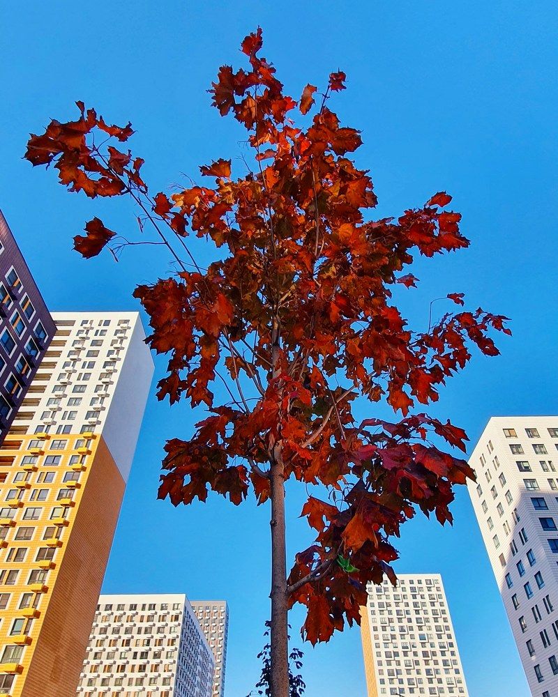 Photograph by Оксана Бессчетнова