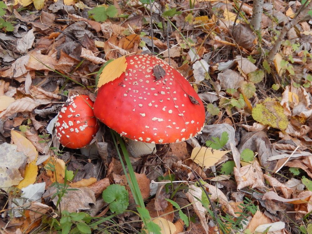 Фотография автора Клавдия Васильева