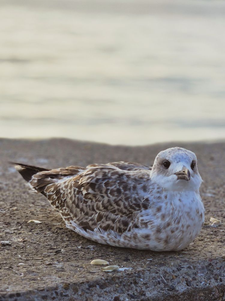 Photograph by Ольга Дёмина