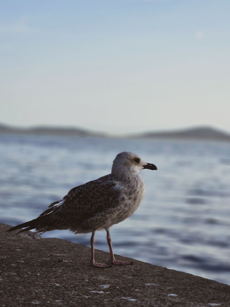 Photograph by Ольга Дёмина