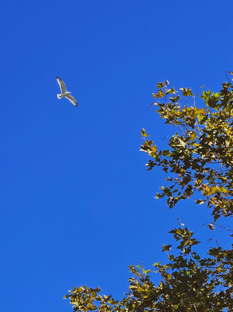 Photograph by Ольга Дёмина