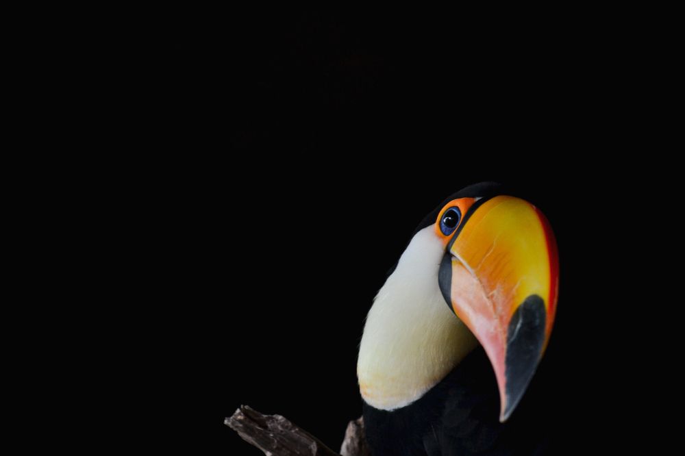 Photograph by María Gromiko