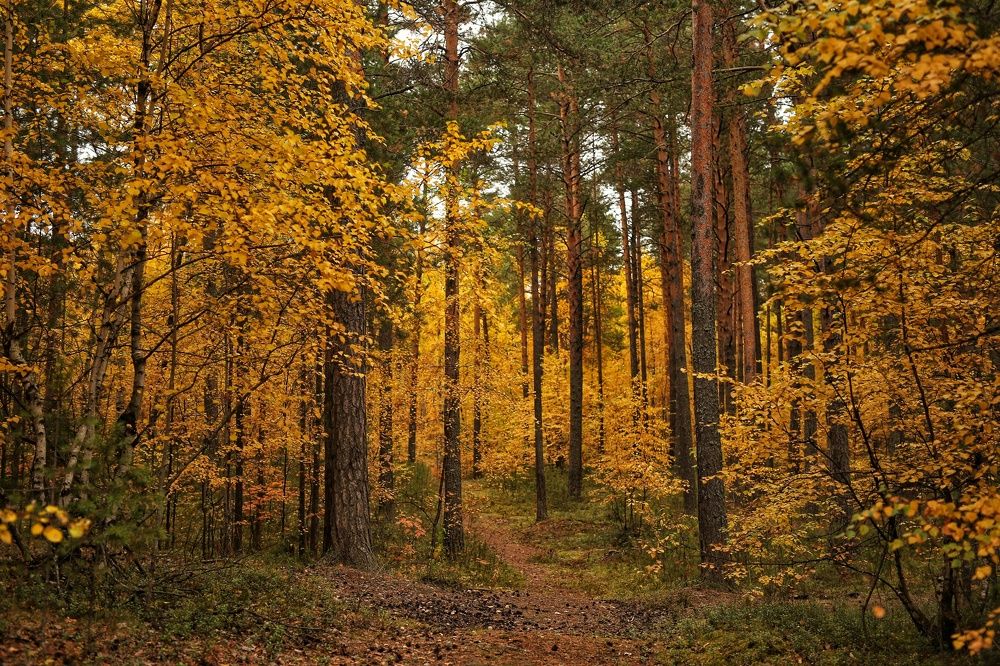 Photograph by Марина Киприна