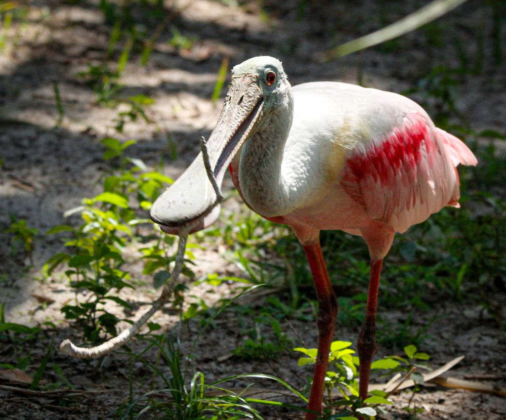 Photograph by Karen Ford