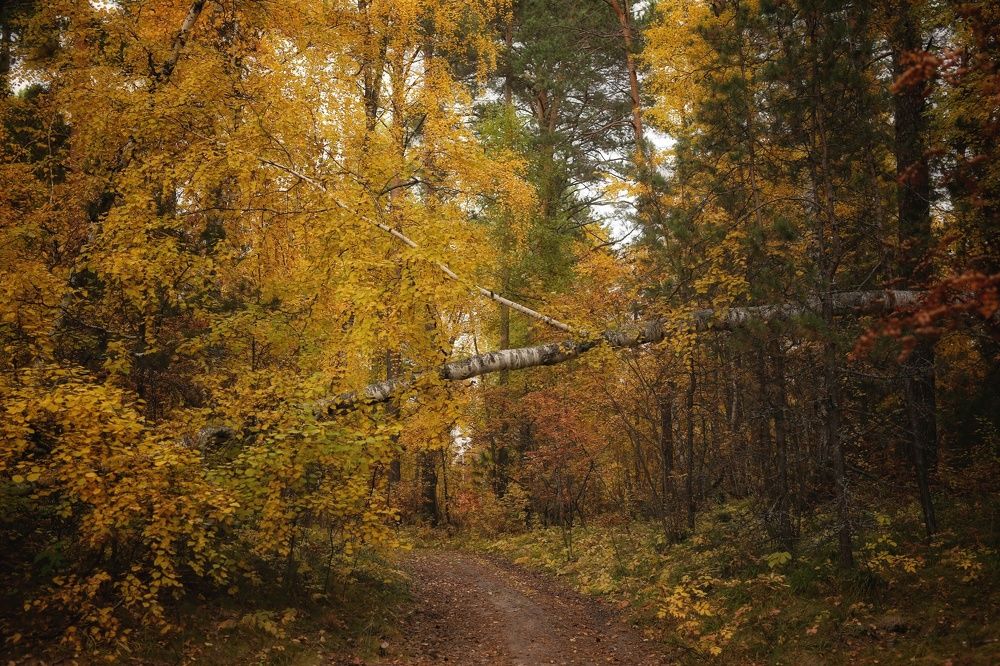 Photograph by Марина Киприна