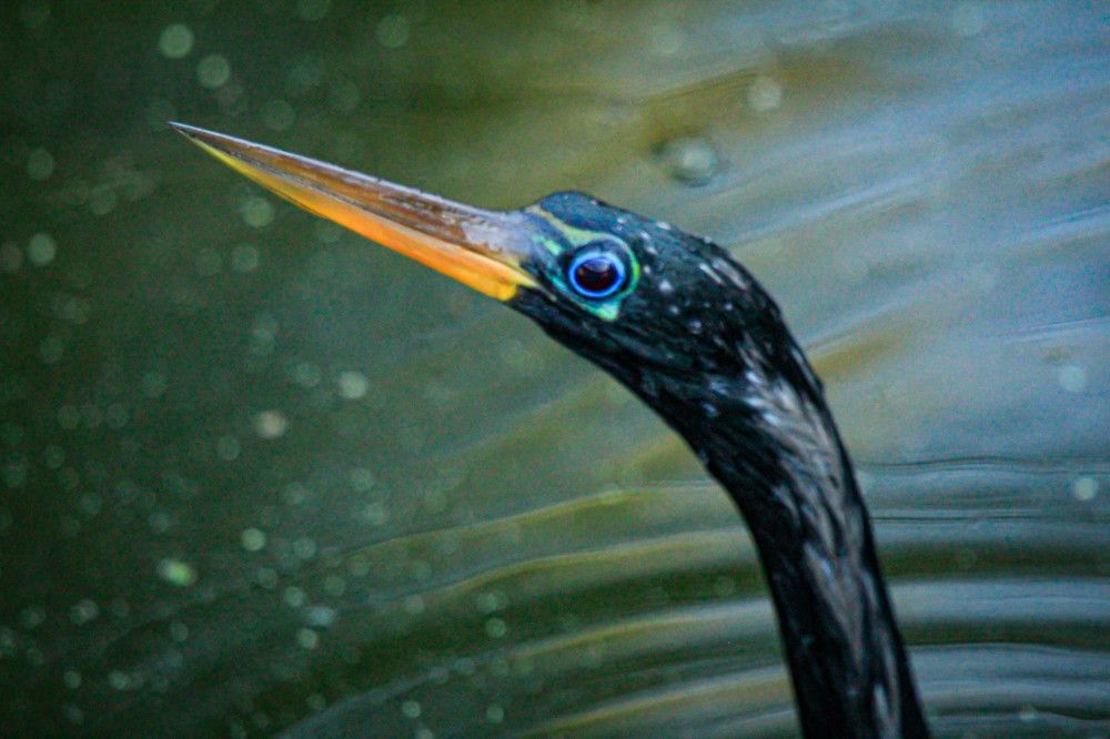 Photograph by Karen Ford