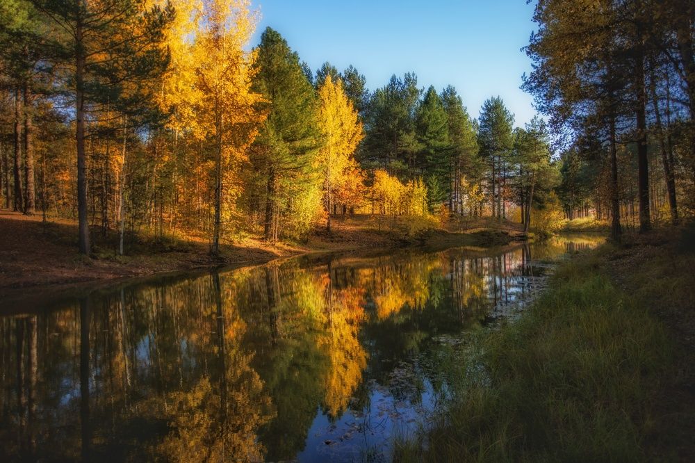 Photograph by Марина Киприна