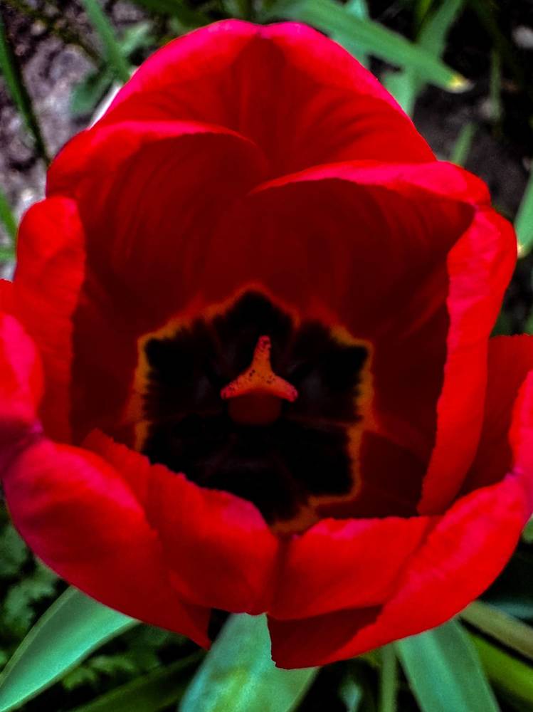 Фотография автора Юлия Осетрова