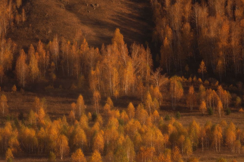 Photograph by Таипов Ильгиз