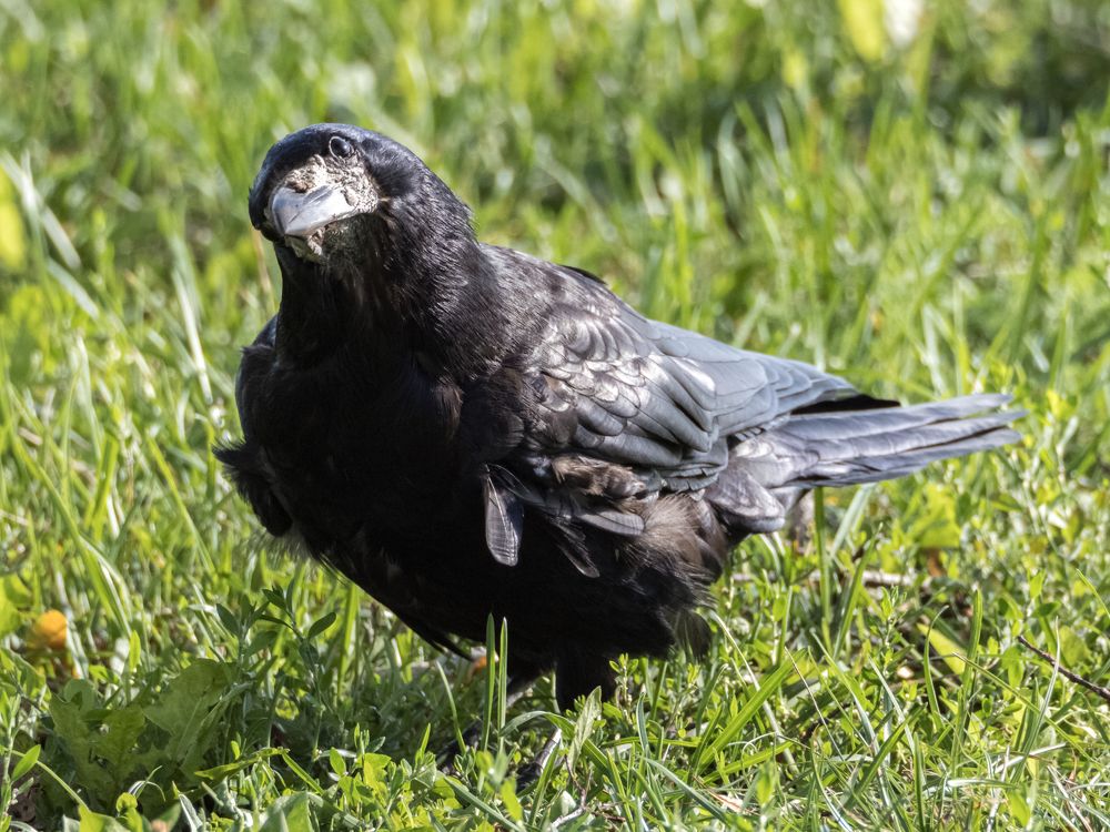 Photograph by Yury Fokin