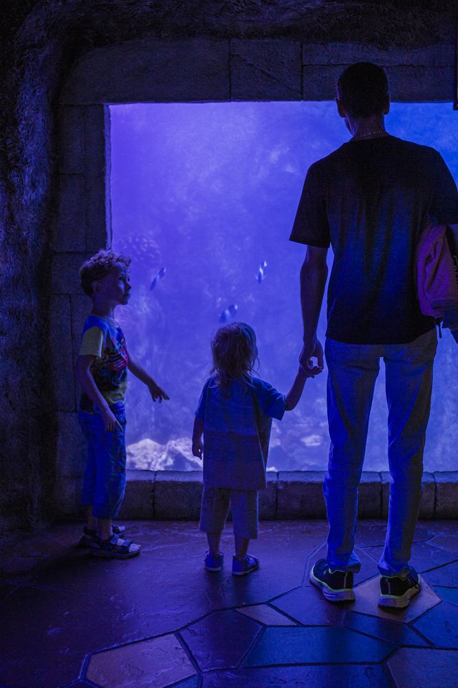 Photograph by Ольга Сорокина