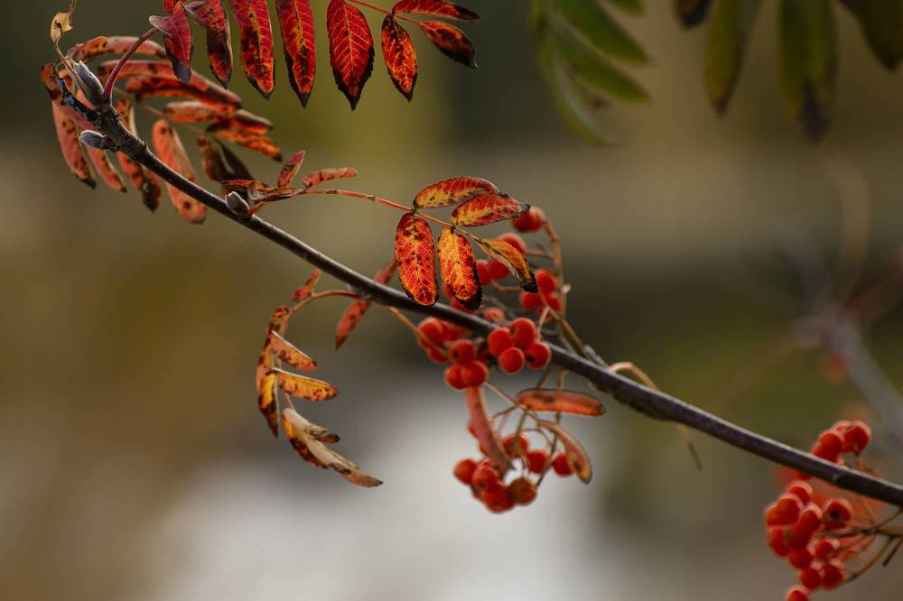 Photograph by Людмила Подольская