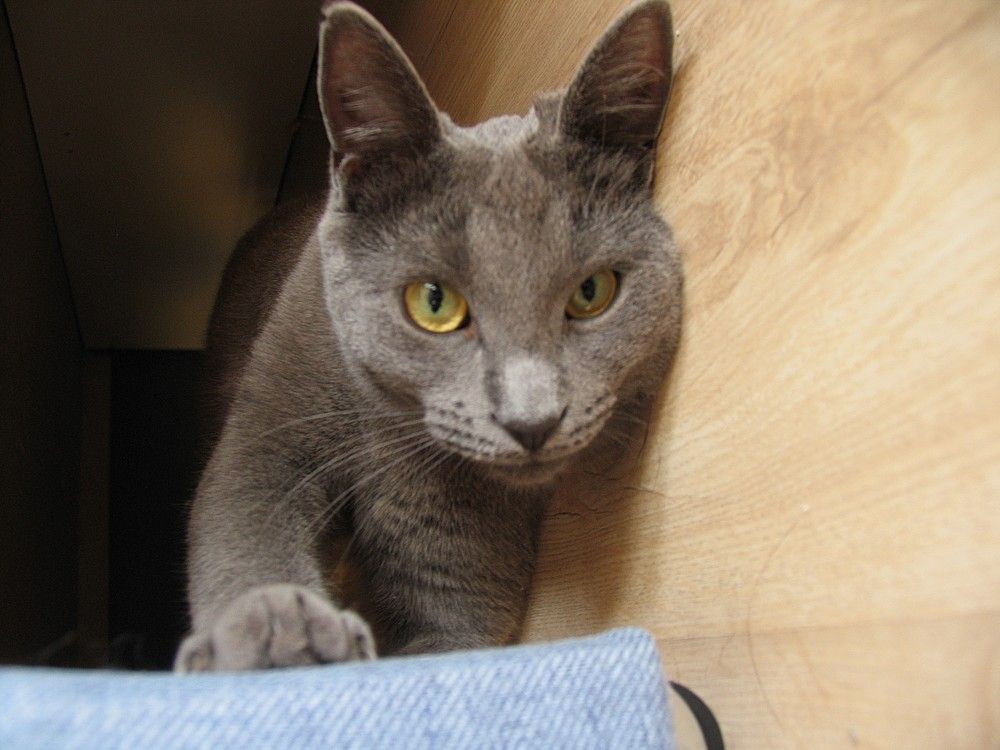 Photo #11174141