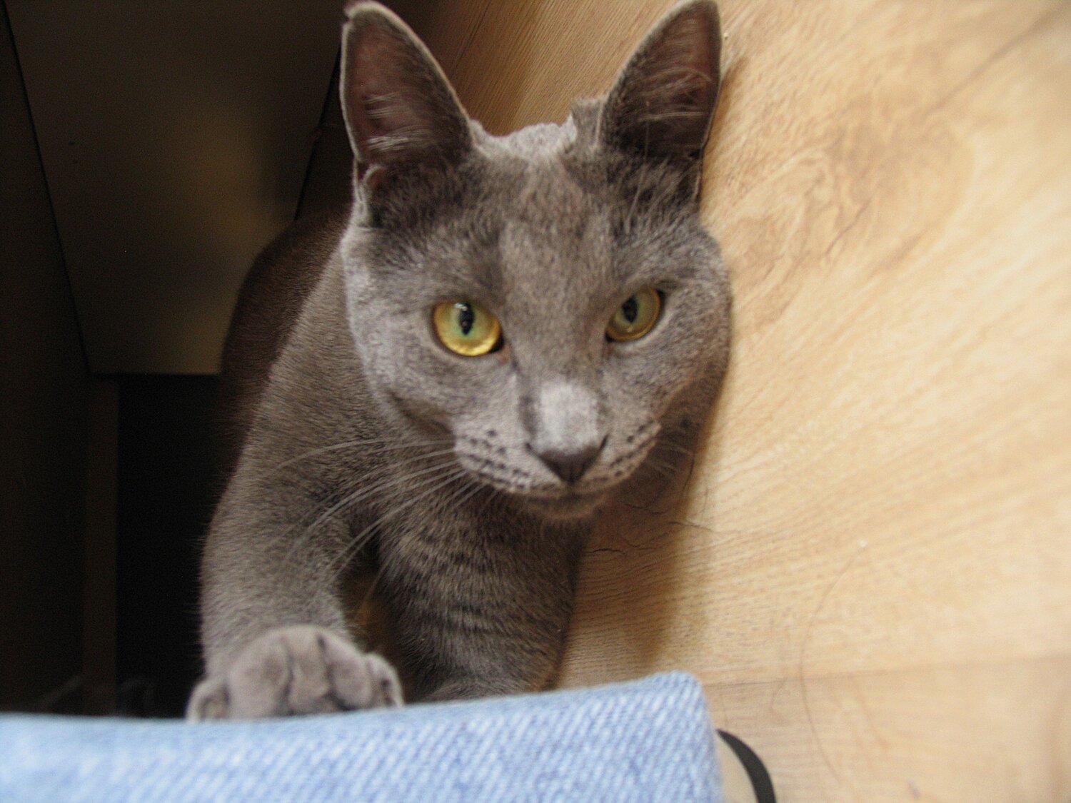 Photo #11174141
